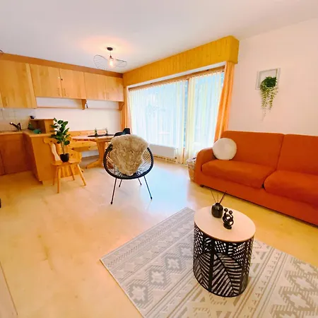 Studio Lumineux I Balcon I Ski & Parking Nendaz